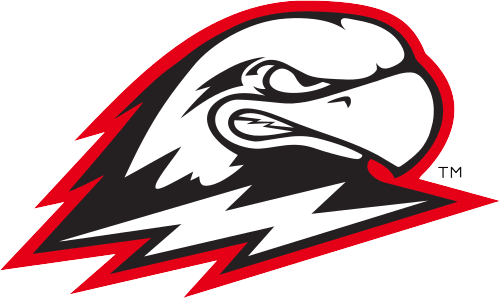 Southern Utah Thunderbirds 2019-Pres Primary Logo vinyl decal